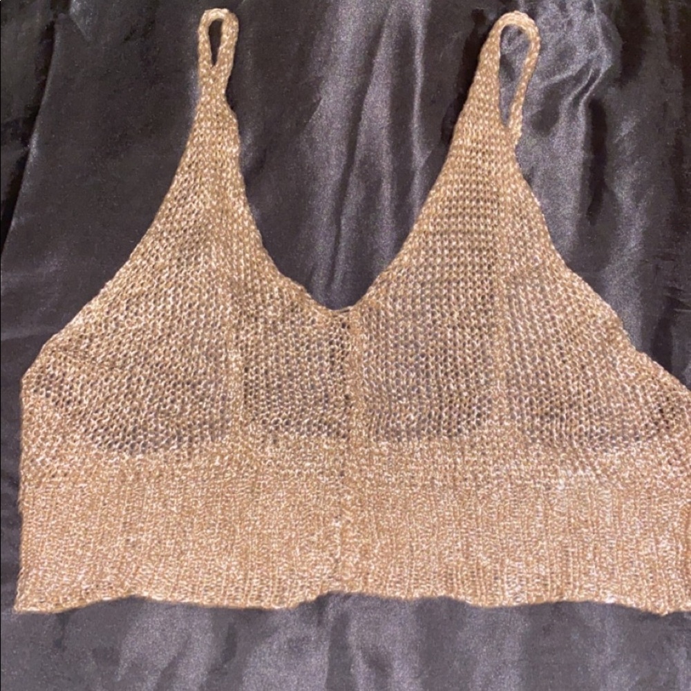 Akira gold crop top.
